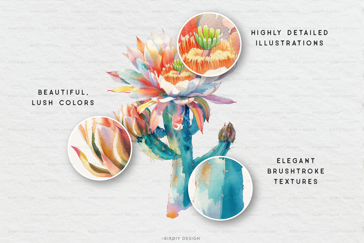 Watercolor Cactus Set, an Object Illustration by BirDIY Design (Photo 2 of 6)