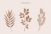 Organic Botanicals & Logo Designs, an Illustration by amber&ink (Thumbnail 4 of 17)