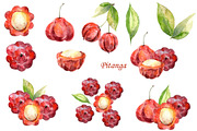 Watercolor tropical fruits., an Illustration by TaPilipa (Thumbnail 31 of 39)