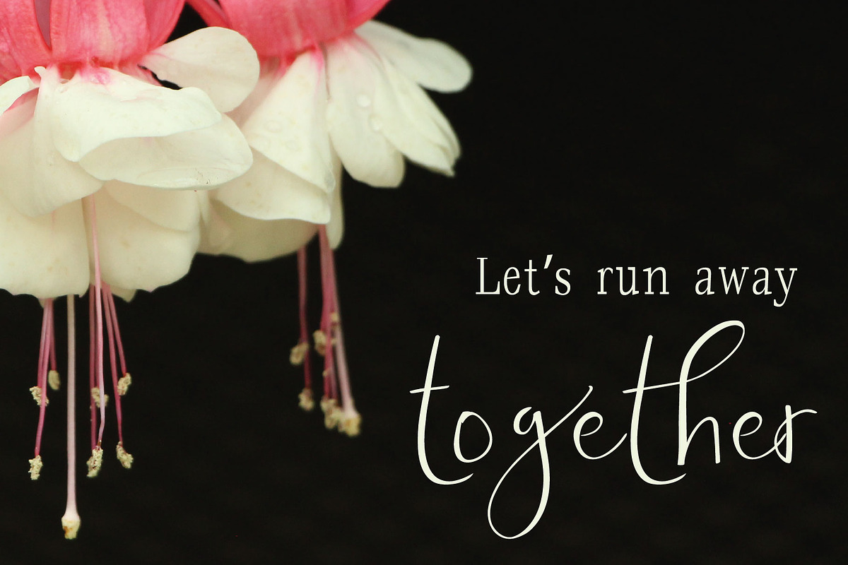 Avant Garde Font Duo preview 5