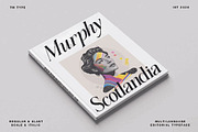 Elighina Serif, a Serif Font by TM Type (Thumbnail 2 of 15)