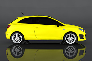 2009 SEAT Ibiza Cupra