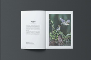 A5 Creative Portfolio / Catalogue