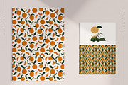 Valencia Collection, an Object Illustration by Julia Dreams (Thumbnail 5 of 8)