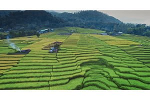 Rice terraces creating stunning, a Nature Photo by Goinyk
