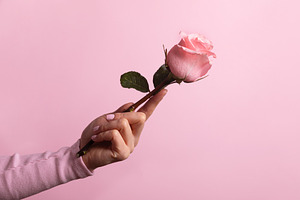 Elegant female hand holding a single pink rose against a pastel, a Holiday Photo by Ales Munt