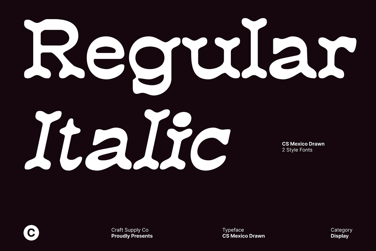 CS Mexico Drawn, a Serif Font by Craft Supply Co. (Photo 2 of 8)