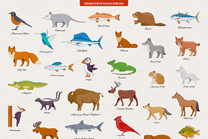 234 Animals Of The World