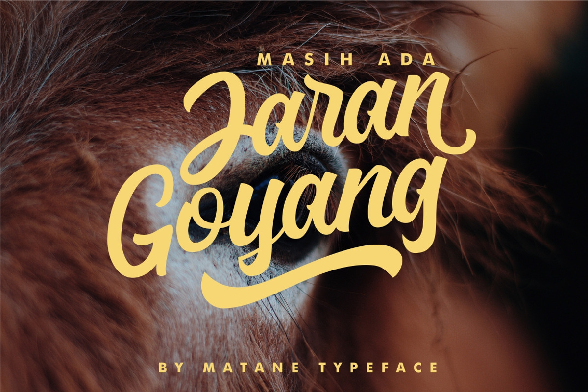 Matane Typeface + Swash preview 3