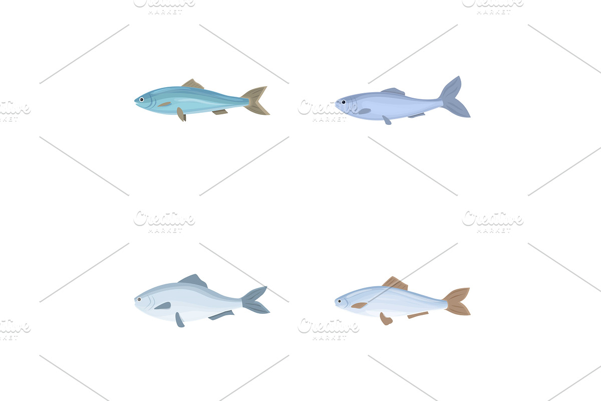 Herring icons set cartoon vector, an Animal Illustration by Ylivdesign