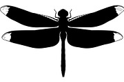 Dragonfly Silhouette, an Object Graphic by Designer_Momina (Thumbnail 9 of 20)