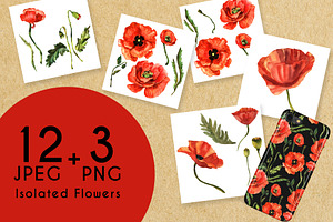 Stunning Poppies PNG Watercolor Set