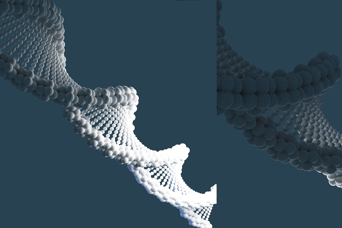 DNA, an Animal 3D Model by Giimann (Photo 2 of 5)