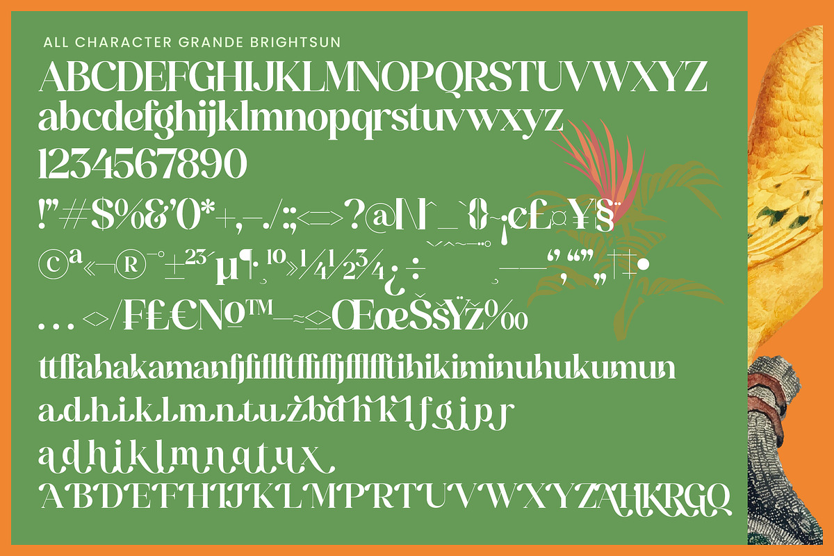 Grand Highland Modern Serif Font, a Serif Font by timelesstype.co (Photo 14 of 15)