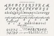 Ovelyned a Calligraphy Script Font, a Script Font by Blankids Studio (Thumbnail 7 of 9)