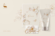 4-in-1 Floral Pattern Bundle, a Pattern Graphic by Karma (Thumbnail 14 of 43)