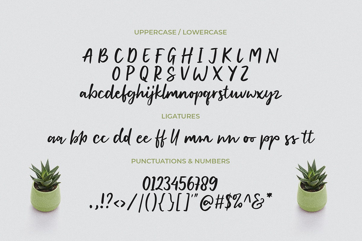 Thessallone - A Handwritten Script, a Handwritten Font by Wacaksara Co. (Photo 7 of 8)