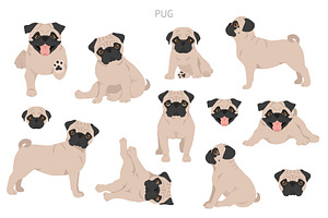 Pug Clipart