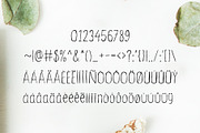 Ceica Handwritten Duo Font + Bonus, a Script Font by Creativetacos (Thumbnail 5 of 6)