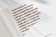 Reikna - Classy Bold Serif, a Serif Font by Kulokale (Thumbnail 8 of 10)