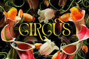Wader Modern Elegant Serif, a Serif Font by Alfinart (Thumbnail 9 of 11)