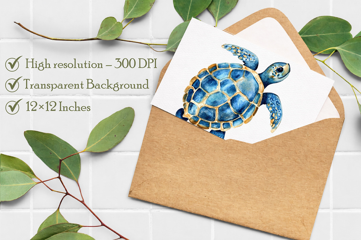 Watercolor Ocean Animals Clipart, an Illustration by Libby Wishes (Photo 7 of 7)