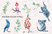 Watercolor koala, parrot, kangaroo., an Animal Illustration by lilisavelieva (Thumbnail 2 of 5)