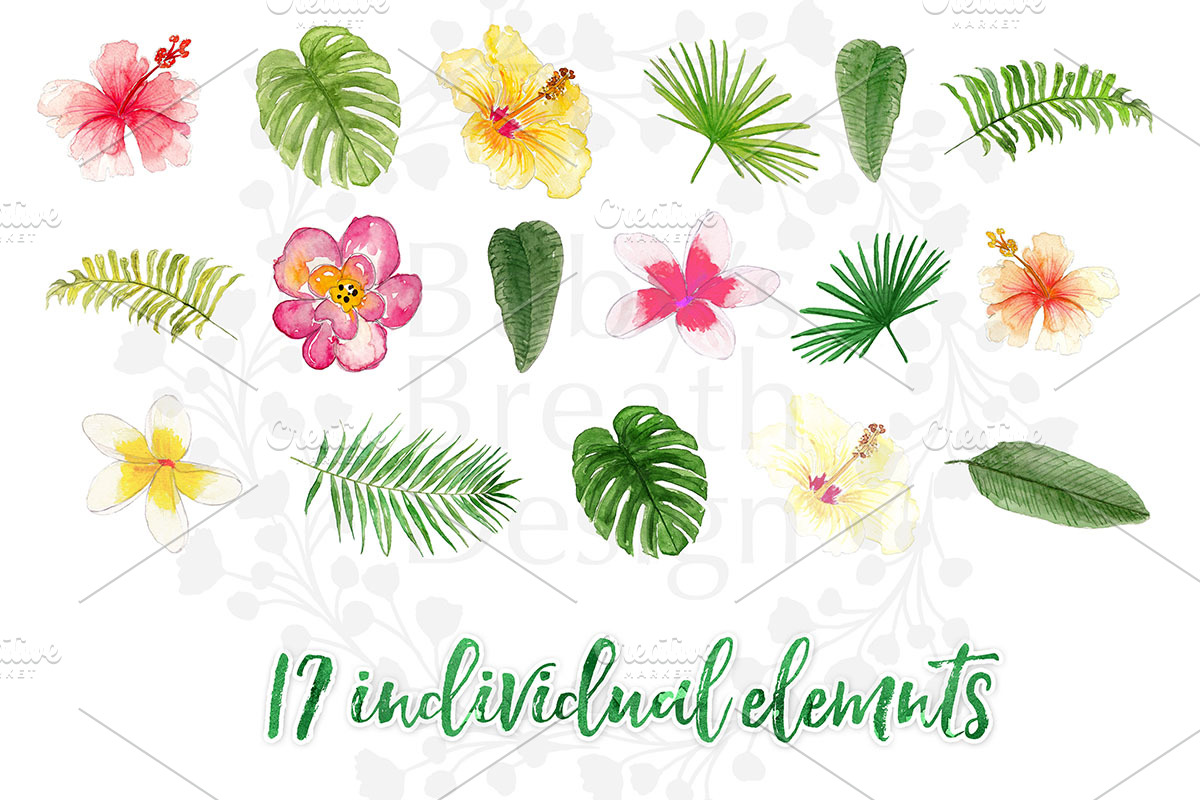 Watercolor Aloha Tropical design, an Illustration by Babysbreath/Dandelionery (Photo 3 of 3)