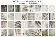 Moss Weather Soft Autumn Backgrounds, a Background Graphic by youtoview (Thumbnail 3 of 11)