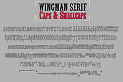 50% OFF Wingman, a Script Font by Fontforecast (Thumbnail 10 of 12)