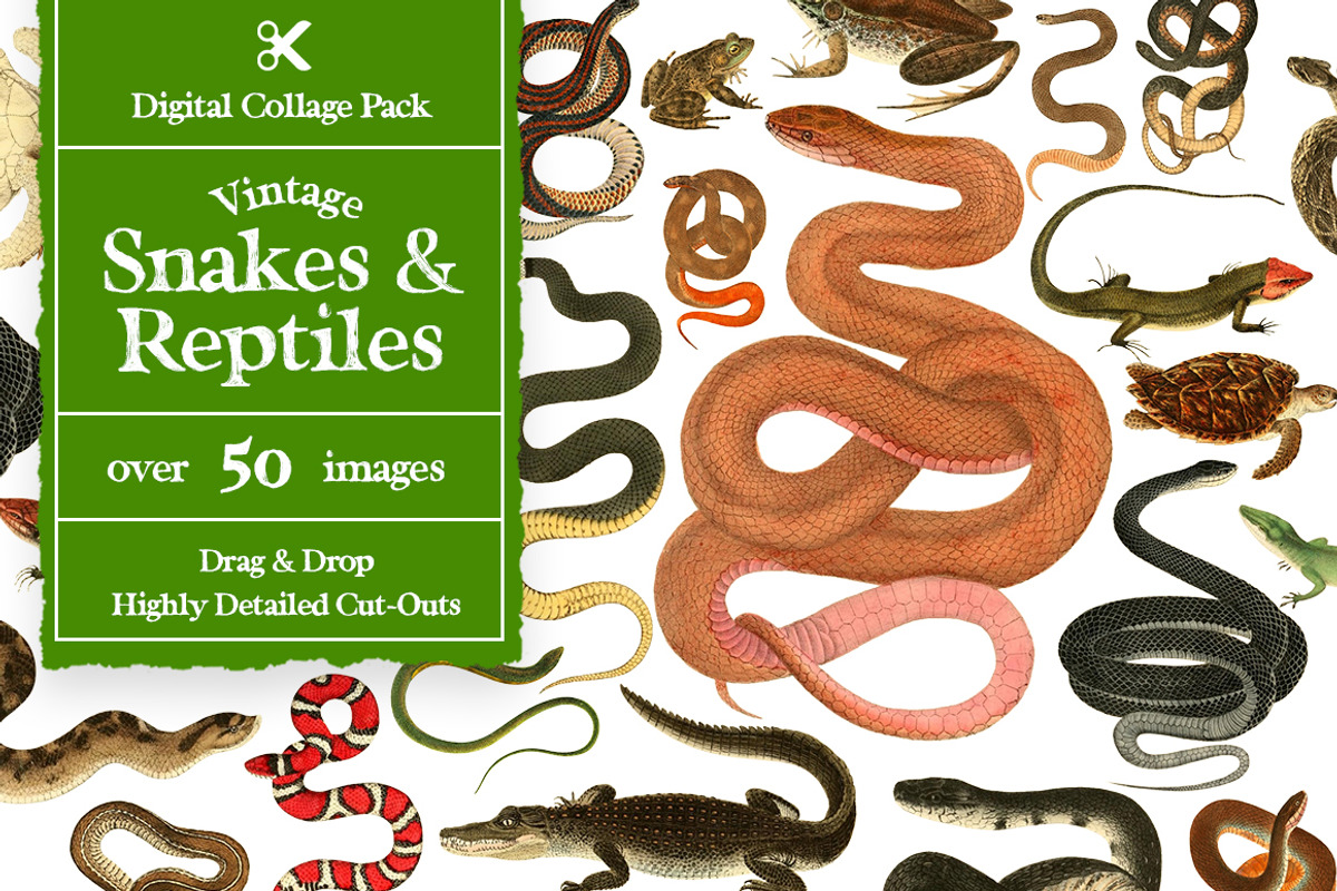 Vintage Collage Creator 1000+ Images, an Object Graphic by Collage Supply Co (Photo 20 of 21)