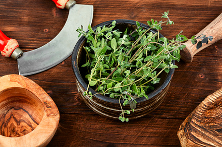Fresh marjoram and herb knife, a Health & Medical Photo by MLunov MLunov