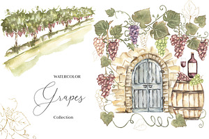 Watercolor Grapes Collection