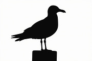 Bird Silhouette design bundle, an Illustration by BIPLOB EXPERT (Thumbnail 3 of 13)