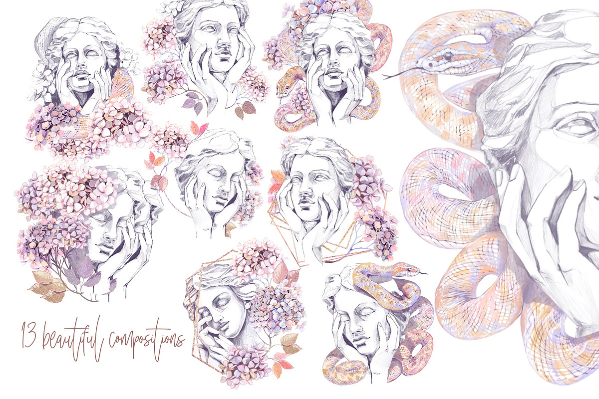 Snake Hydrangeas Garden Clipart, a Decorative Illustration by Shabbypie (Photo 11 of 20)