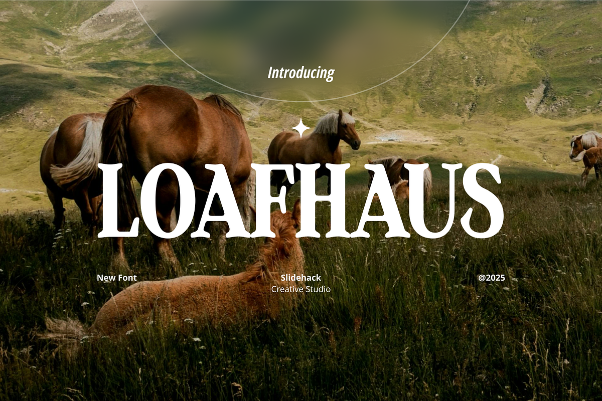 Loafhaus - Vintage Serif Display Fon, a Serif Font by Studio Moara (Photo 1 of 8)