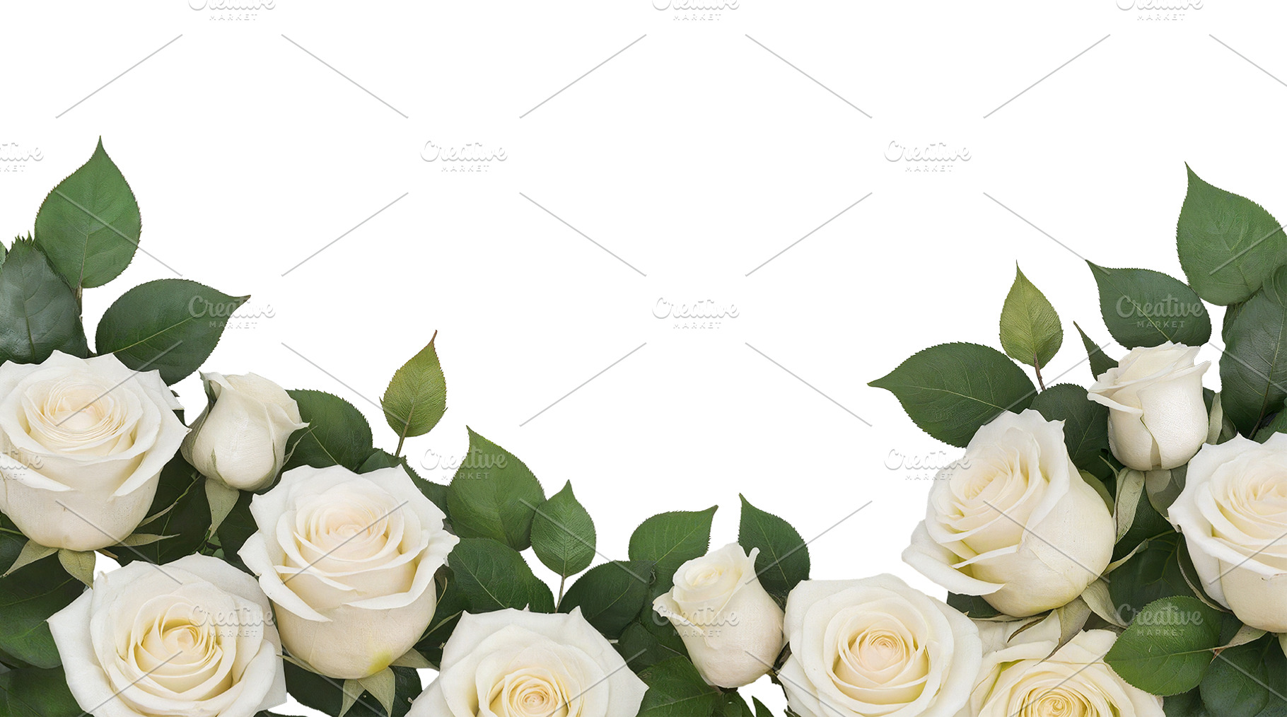 rose flowers transparent background, a Nature Photo by itakdalee