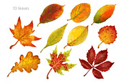Fall leaves png clipart, an Illustration by PinskaDrawCute (Thumbnail 3 of 6)