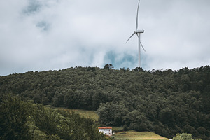 Wind turbine over forest and house, an Industrial Photo by SkyNext