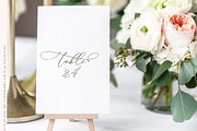Darling Modern // Luxury Font, a Script Font by PeachCreme (Thumbnail 6 of 29)