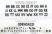 Treasure, a Script Font by FreshTypeINK (Thumbnail 2 of 8)