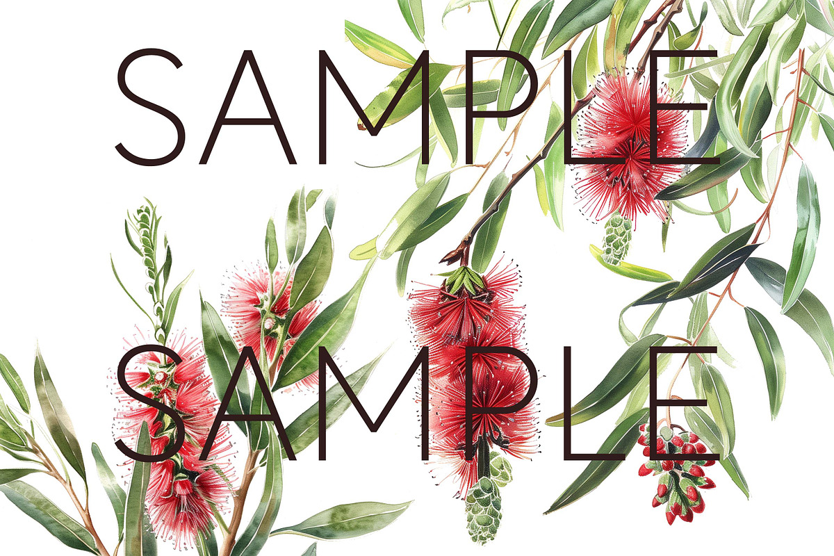 Bottle Brush Floral Clipart PNG, a Decorative Illustration by Pawcasso's Portraits (Photo 6 of 6)