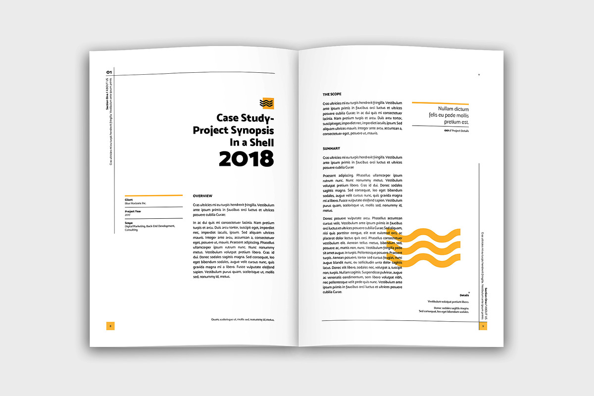 Ultimate Proposal Brochure Template, a Brochure Template by velvetmade.designs (Photo 5 of 15)