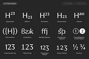 TT Quaris, a Serif Font by TypeType (Thumbnail 12 of 15)