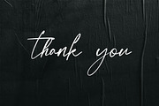 Vastoria Elegant Script Font, a Script Font by NTC Graphic (Thumbnail 8 of 8)