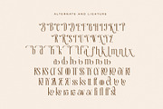 Deronia Beauty Branding Serif Font, a Serif Font by RantautypeStudio (Thumbnail 16 of 17)