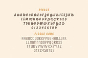 Picsue; Script and Sans Font Duo, a Script Font by Eko Bimantara (Thumbnail 20 of 20)
