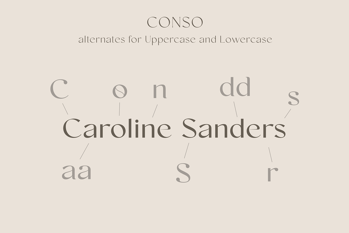 Conso | Font Family, a Sans Serif Font by Larin Type Co. (Photo 8 of 15)