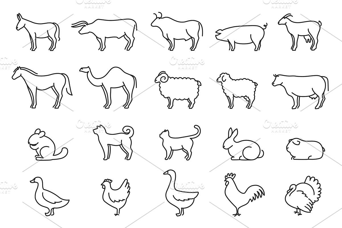 Linear farm and domestic animals, an Animal Illustration by winwin.art
