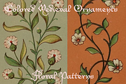 Colored Medieval Ornaments, an Object Graphic by Intellecta Design (Thumbnail 7 of 12)